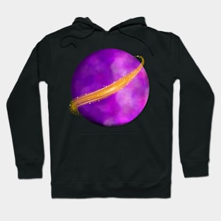 purple moon Hoodie